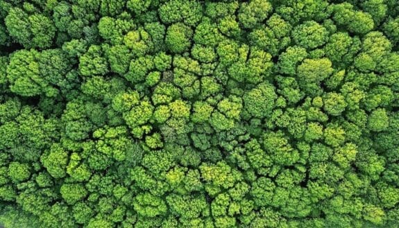 Climate Tech Startups Score $1.3M