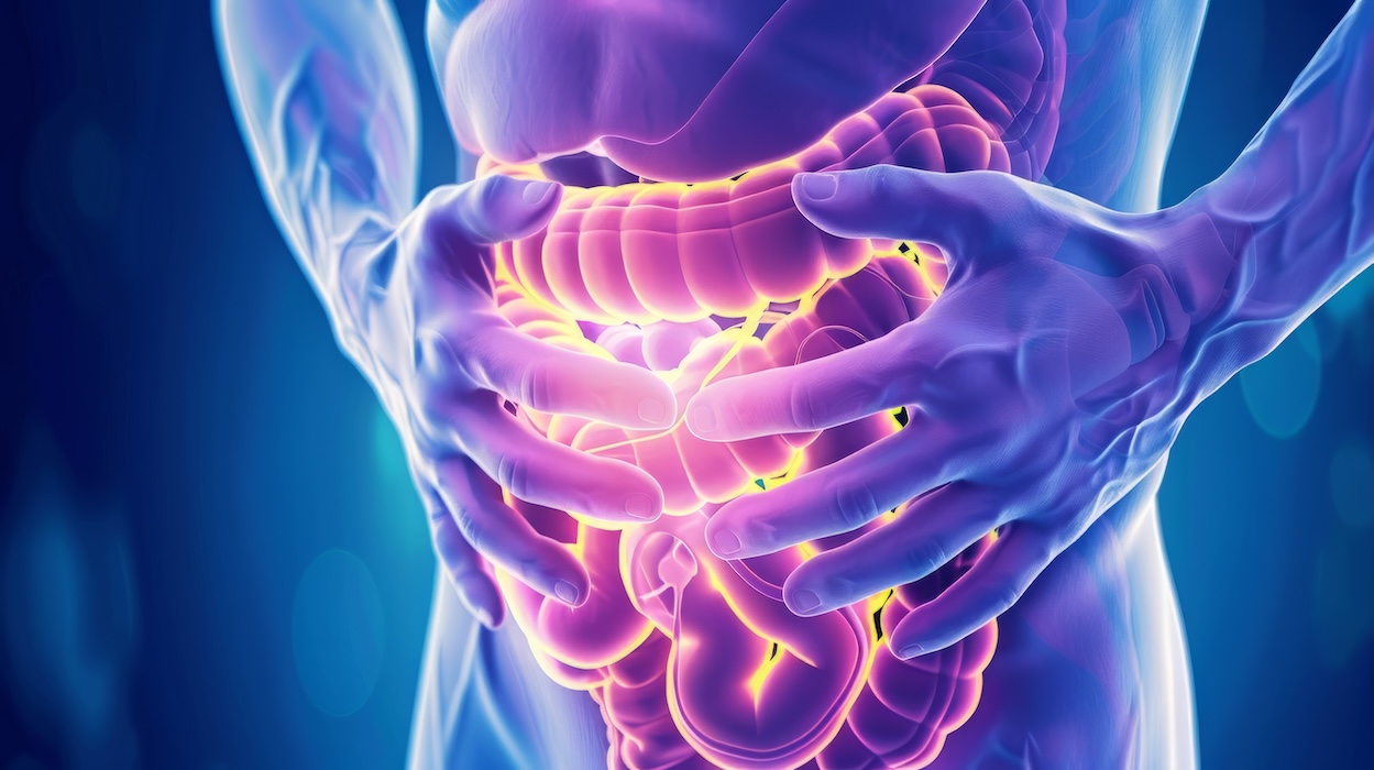 graphic of human digestive system with IBD flare-up | Donate to Support Israel | Technion University