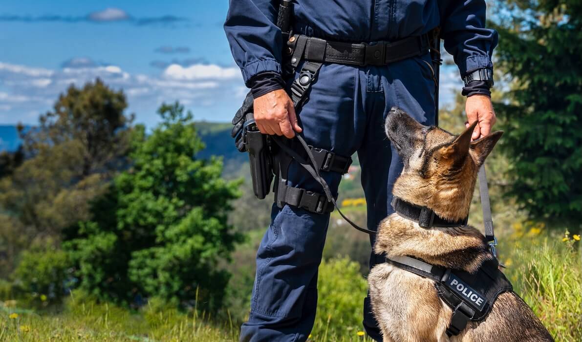 K9 police dog with police officer in field with green trees | Donate to Support the Technion University | American Technion Society | Israel
