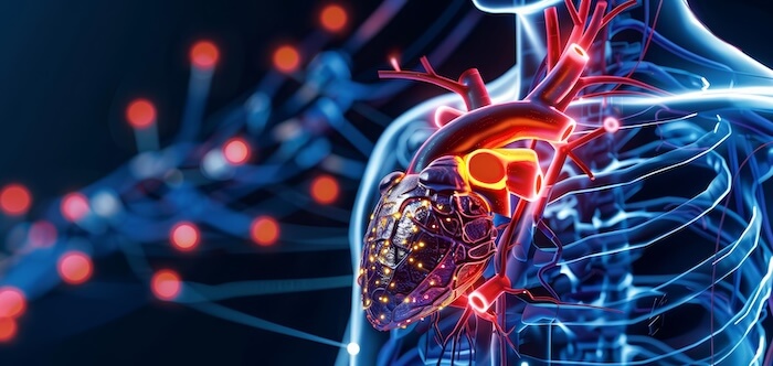 American Technion Society