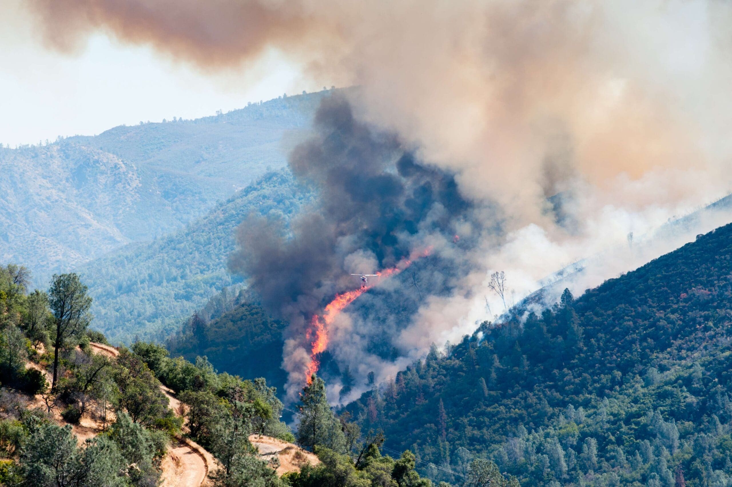 migration | california wildfires aerial image | American Technion Society