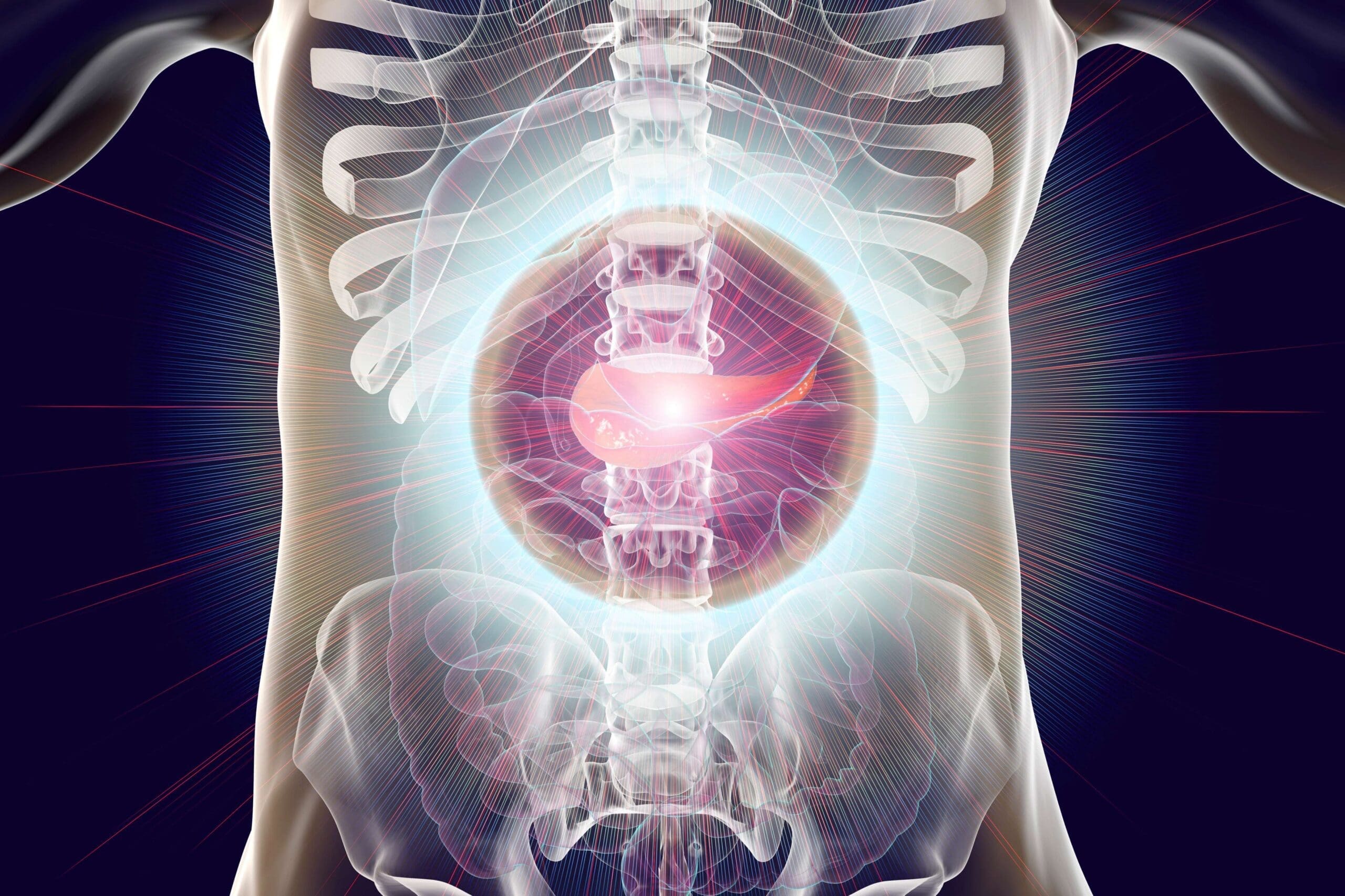 Pancreatic Cancer | American Technion Society | Donate to Israel Now