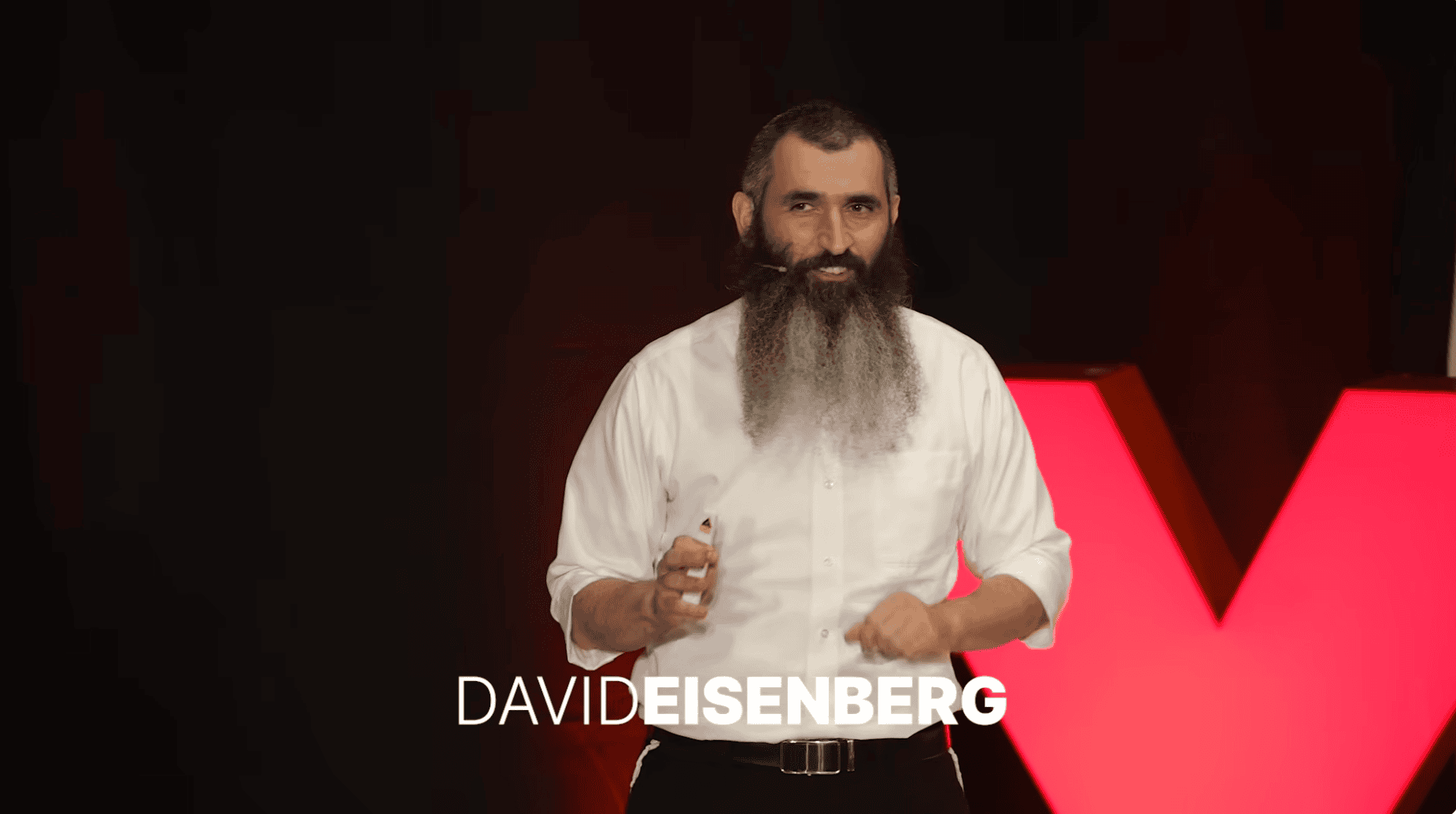 Prof. David Eisenberg on stage at TedXTechnion.